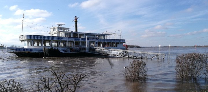Hochwasser lockte viele Besucher an den Rhein