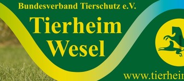 Tierheim Wesel